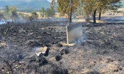 Mudurnu'da çıkan anız yangını söndürüldü