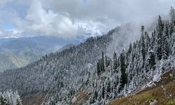 Artvin'de kardan kapanan köy yolları ulaşıma açıldı