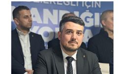 "MEYVE VEREN AĞAÇ TAŞLANIYOR"