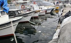 Doğaya bırakılan plastik çöpler deniz canlıları üzerinde ölümcül sonuçlar doğuruyor