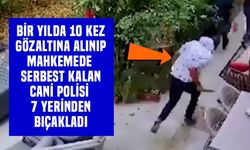 ŞİDDETİN ÖNLENEMEYEN YÜKSELİŞİ