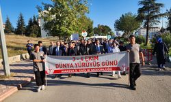 Suluova'da Yürüyüş Günü kutlandı