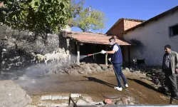 Manisa'da mavi dil hastalığıyla mücadele kapsamında 111 mahalle ilaçlandı