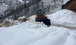 Üçtepe beldesinde kar nedeniyle kapanan mahalle yolları açıldı