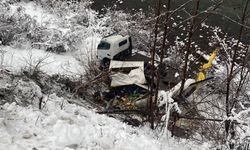 Artvin'de kamyonun dere kenarına devrildiği kazda 1 kişi yaralandı