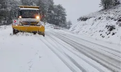 Denizli Büyükşehir'den kar mesaisi