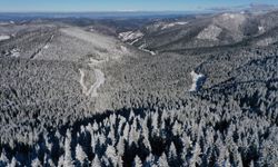 Karla kaplanan Ilgaz Dağı dronla görüntülendi