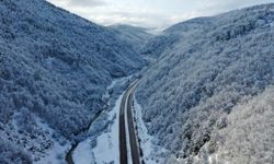 Kastamonu'nun ormanlık alanları beyaza büründü