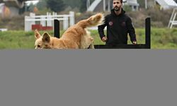 Ondokuz Mayıs Üniversitesinin köpekli arama kurtarma takımı olası afetlere eğitimlerle hazırlanıyor