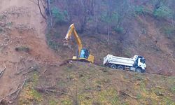 Giresun'da heyelan nedeniyle köy yolu ulaşıma kapandı