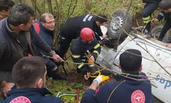 Ordu'da uçuruma devrilen kamyonetteki 3 kişi yaralandı