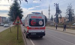 Ordu'daki trafik kazasında 3 kişi yaralandı