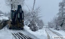 'TEŞEKKÜRLER ENERJİ-SA'