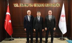 'EN ÖNEMLİ SORUNA KÖKLÜ ÇÖZÜM'