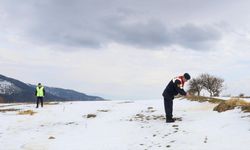 Amasya'da jandarma ekipleri yaban hayvanları için doğaya yem bıraktı