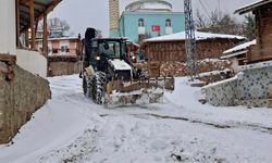 Amasya'nın Gümüşhacıöy ve Hamamözü ilçelerinde kar etkili oluyor