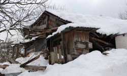 Artvin Valisi Ergün, Ormanlı köyünde ahırı çöken kişiyi ziyaret etti