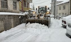 Bartın'da kar etkisini sürdürüyor