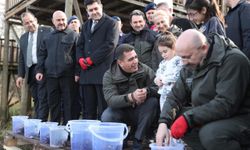 Batı Karadeniz'in kuş cenneti Efteni Gölü'nde "Dünya Sulak Alanlar Günü" etkinliği