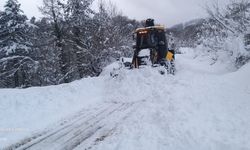 Doğanyurt'ta belediye ekiplerinin karla mücadelesi sürüyor