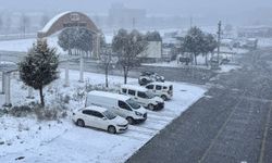 Düzce, Kocaeli ve Sakarya'da kar aralıklarla sürüyor