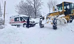 Giresun ve Rize'de kardan yolu kapanan köylerde mahsur kalan hastalar ekiplerce hastaneye ulaştırıldı