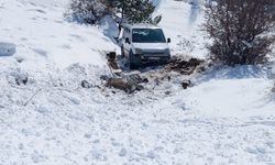 Giresun'da hafif ticari aracın şarampole devrildiği kazada 2 kişi yaralandı