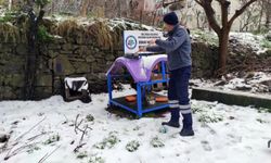 Karadeniz Ereğli'de sahipsiz hayvanlar ve kuşlar için yiyecek bırakıldı