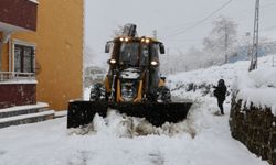 Karadeniz'de 1537 yerleşim yerine ulaşım sağlanamıyor