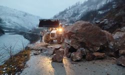 Ordu'da heyelan nedeniyle kapanan yol kontrollü olarak ulaşıma açıldı