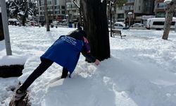 Samsun'da Genç Gönüllülerden kuşlara yem desteği