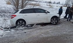 Tokat'ta ağaca çarpan otomobilin sürücüsü yaralandı