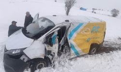 Tokat'ta yük treninin çarptığı minibüsün sürücüsü yaralandı