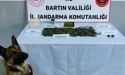 Bartın'da uyuşturucu ticareti yaptıkları iddiasıyla yakalanan 2 zanlı tutuklandı