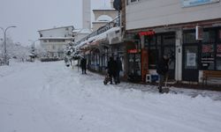 Başçiftlik ilçesinde kar yağışı etkili oldu