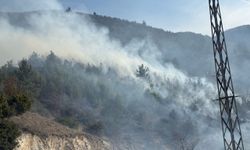 Kastamonu'da çıkan anız ve örtü yangını söndürüldü