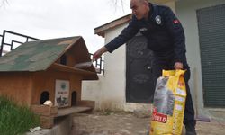 Taşköprü Belediyesi, sokak hayvanları için kedi evlerine mama bırakıyor