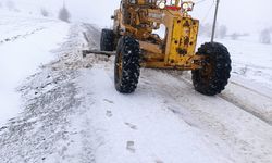 Tokat'ta kar nedeniyle 133 köye ulaşım sağlanamıyor