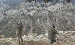 Antalya’da yasadışı avcılığa suçüstü!
