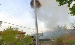 Çorum'da yangın çıkan leylek yuvası kullanılamaz hale geldi