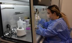 HPV Bölge Laboratuvarında bir ayda 211 kadının kanser riski taşıdığı belirlendi
