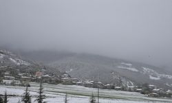 Tokat'ta kar yağışı etkili oldu