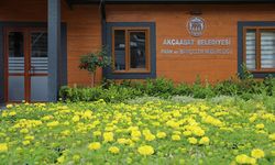 Akçaabat Belediyesi seralarında yaklaşık 100 bin mevsimlik çiçek üretildi