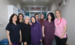 Amasya'da hemşireler meslekleriyle ilgili duygularını dile getirdi