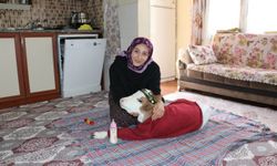Annesi rahatsızlanan buzağı "Nisan" evde misafir ediliyor