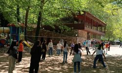 Cide ilçesinde ÇEDES projesi kapsamında şenlik düzenlendi