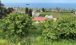 Giresun Üniversitesinden FAE'nin projelerine istatistik bilimi ve yapay zeka desteği sağlanacak
