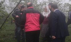 Giresun'da zirai dondan etkilenen fındık bahçelerinde incelemeler devam ediyor