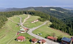 Giresun'un Kulakkaya Yaylası turizmde ivme kazandı