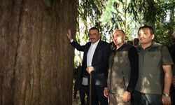 BENZERSİZ DOĞA MİRASI…